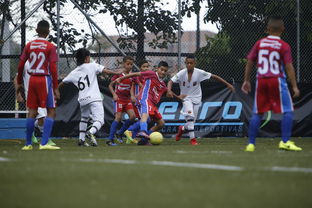 开云注册入口-中国足球青训成果展示会在多地举办，中国足球青训比赛